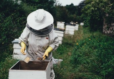 Bee farming